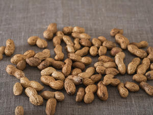 دراسات تؤكد أن الفستق هو أقل المكسرات من حيث السعرات الحرارية.