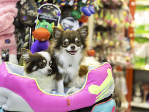 (Shutterstock/File Photo)