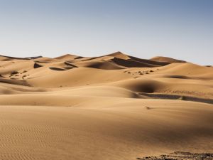 Tourist Found Dead in UAE Desert