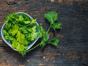 الكزبرة  غنية بالمعادن التي تساعد في تنقية الجسم من السموم