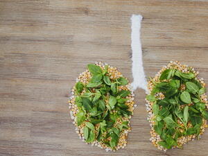 هناك طرق بسيطة وسهلة يمكن فعلها لـ تنظيف الرئتين عند المدخنين (shutterstock.com)