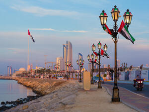 (Ali Suliman / Shutterstock)