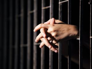 The defendant would be deported after serving her sentence (Shutterstock/File)