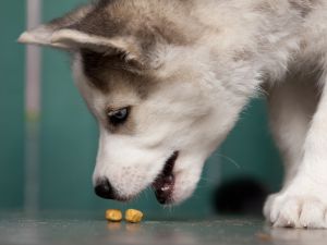 (Shutterstock/ File)