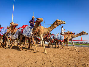 Free-for-all fun in Dubai (Shutterstock) Free-for-all fun in Dubai (Shutterstock)