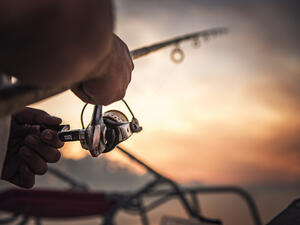 (Shutterstock/File Photo)