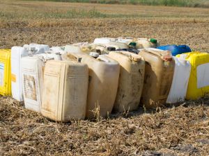 The incident is being investigated (Shutterstock/File)