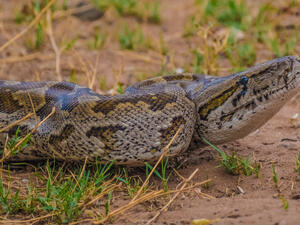 (Shutterstock/ File Photo)