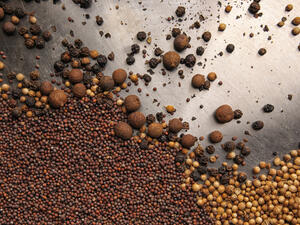 تعد جوزة الطيب من أقوى الأطعمة تأثيرًا على القدرات العقلية (shutterstock.com)