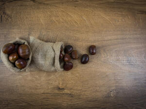 استخدم العلماء الكستناء لكشف السرطان (shutterstock.com)