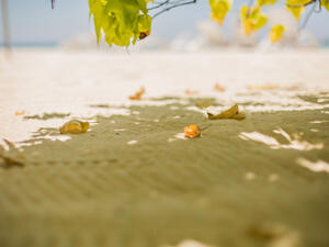 تُعتبر أشعة الشمس من أهم مصادر فيتامين د (shutterstock.com)