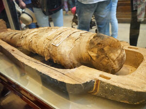 Wooden sarcophagus with ancient mummy (Shutterstock)	