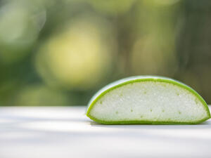 يُستخدم الهلام الداخلي لنبتة الألوفيرا، كعلاج لجميع المشاكل الجلدية (shutterstock.com)