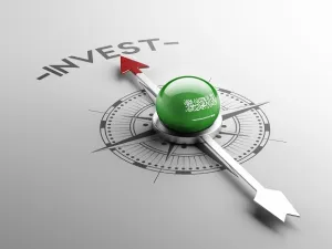The government issued more than 700 licenses for foreign investments this year, double the number in 2017. (Shutterstock)