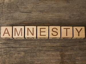 Intensive campaigns will be conducted immediately after the end of the amnesty scheme. (Shutterstock)