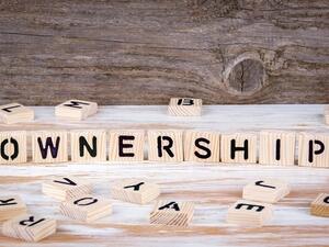 the "negative list" of sectors where the full foreign ownership is not permitted contains 14 industries. (Shutterstock)