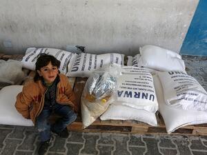 UNRWA’s work covers Palestinian refugees mainly residing in the West Bank, Gaza, Jordan, Lebanon and Syria. (Shutterstock)