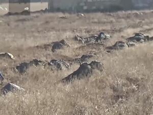 تذمر في صفوف أهالي القتلى ومطالبات بإعدام الضابط المسؤول عن ذلك - أرشيف