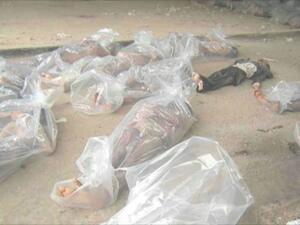 الشبكة السورية توثق 46 حالة قتل تحت تعذيب النظام في مايو