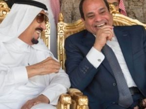 أقر وزير الخارجية المصري سامح شكري بوجود تباين في الرؤى بين بلاده والسعودية بشأن تسوية النزاع في سوريا،