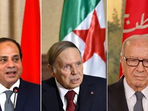 جددت الدول الثلاث التي ترتبط بحدود برية مشتركة مع ليبيا "رفض اي حل عسكري