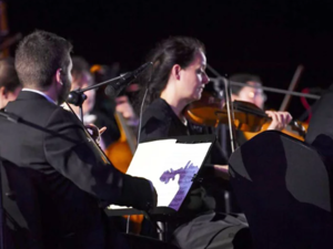 The Cologne Academy Orchestra (Photo: Social Media)