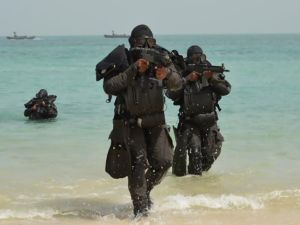 شاركت في المناورات الزوارق السريعة والطيران وقوات ومشاة الأمن البحرية الخاصة