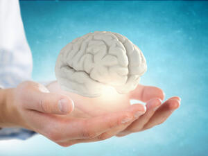 يقول الخبراء النسيان الخفيف أمر طبيعي تماماً، خاصة مع التقدم في السن