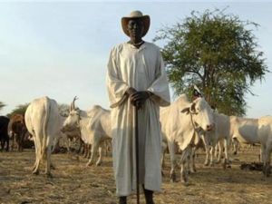 يضم اقليم شرق السودان ثلاث ولايات هي القضارف وكسلا والبحر الاحمر