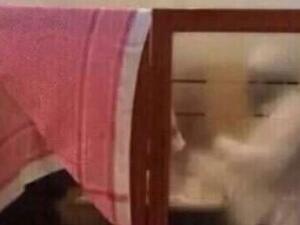 زوج يغطي زوجته بشماغه بمطعم يثير جدلاً بين السعوديين !