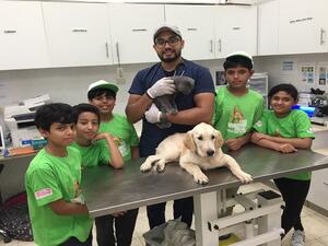 The pet programme offers a rewarding experience for children, allowing them to work closely with some of their inhouse resident animals and learning about their wellbeing. 