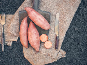 تناول البطاطا الحلوة في الشتاء خياراً رائعا من أجل صحة الشعر وتغذيته