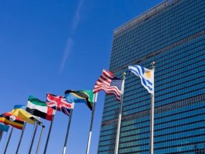 الامم المتحدة