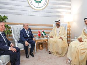 القمة العربية تعيد الدفء إلى العلاقات التونسية الإماراتية 