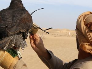 هواية الملوك.. 