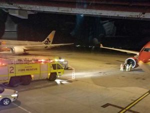  يبدو أن مشاكل المحرك نجمت عن هجوم للطيور