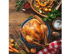 الديك الرومي الجاهزة في ميلينيوم بلازا دبي