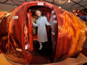 Heart awareness program launches on World Heart Day. [middleeasthospital]