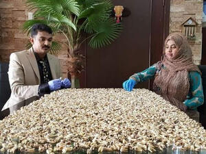 Dr. Nizar Abdul Rahman and his wife pose with their collection of some 10,000 teeth collected over 15 years. (Twitter/Khaleej Times)