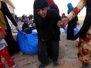 العراق شهد موجة نزوح كبيرة في عام 2014 بسبب الوضع الأمني المتردي ومن ثم اجتياح (داعش)