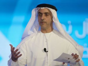  الشيخ سيف بن زايد آل نهيان، نائب رئيس الوزراء ووزير الداخلية الإماراتي