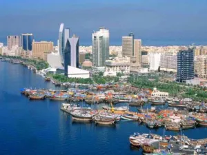 إماراتيون يرفعون التماسا للمطالبة بإصلاحات