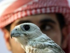 The United Arab Emirates will be offering a new attraction for its tourists as it opens its first hunting resort next September.