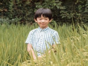 حفيد إمبراطور اليابان يتعرض لحادث سير