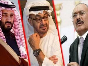 الإمارات أوصلت صالح إلى هذه "النهاية المخزية"