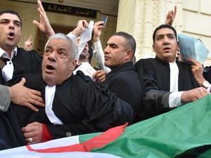 اتحاد المحامين الجزائريين يحتج على ترشح بوتفليقة لولاية خامسة