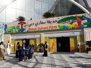 Dubai Safari will provide visitors a close encounter with animals in an open exhibit through four villages - African, Asian, Arabian and Open Safari Village. (Dubai Safari) Dubai Safari will provide visitors a close encounter with animals in an open exhibit through four villages - African, Asian, Arabian and Open Safari Village. (Dubai Safari)