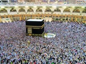  عدد المسجلين من الراغين في الحج من الداخل في المسار الإلكتروني بلغ 558270 شخصا 