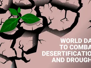 How Technologies Can Help Combat Desertification and Drought in The Arab World 