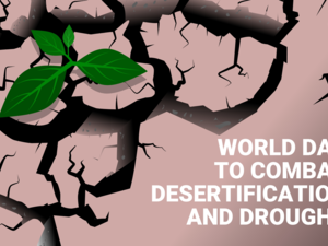 How Technologies Can Help Combat Desertification and Drought in The Arab World 